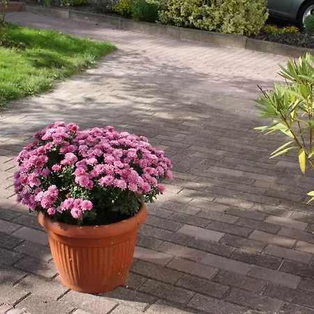 4 Sterne Ferienhaus Antonia Lejlighed Witzenhausen