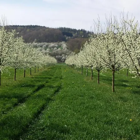 4 Sterne Ferienhaus Antonia *
