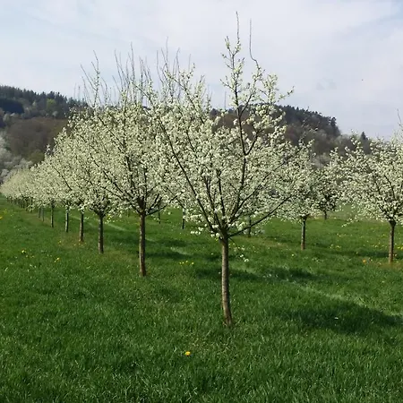 4 Sterne Ferienhaus Antonia